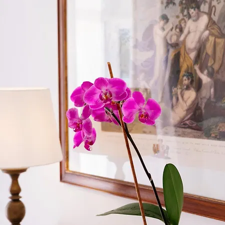 Casa de hóspedes La Bizantina Luxury Positano
